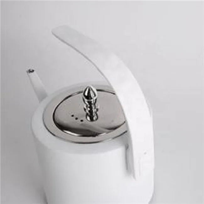 RTS High Quality White All Purpose Gas Kettle Stainless Steel Tea Kettle Simple Teapot in Hand