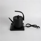 RTS 1L Portable Gooseneck Electric Pour-Over Kettle Stainless Steel Retro Design for Home or Hotel Use Black Electric Kettle